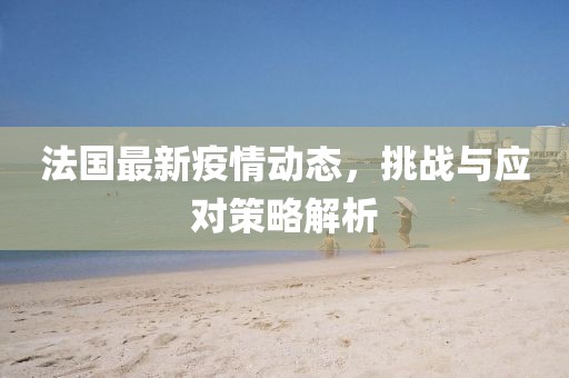法国最新疫情动态，挑战与应对策略解析