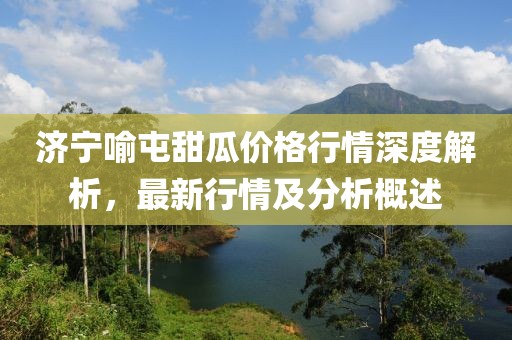 济宁喻屯甜瓜价格行情深度解析，最新行情及分析概述