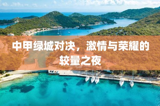 中甲绿城对决，激情与荣耀的较量之夜