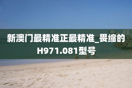 新澳门最精准正最精准_畏缩的H971.081型号