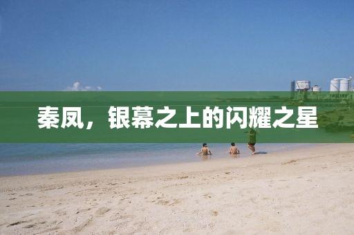 秦凤，银幕之上的闪耀之星