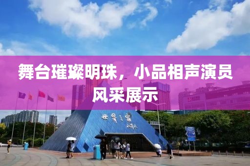 舞台璀璨明珠，小品相声演员风采展示