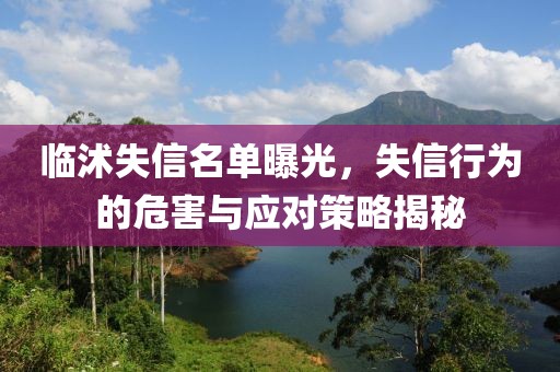 临沭失信名单曝光，失信行为的危害与应对策略揭秘