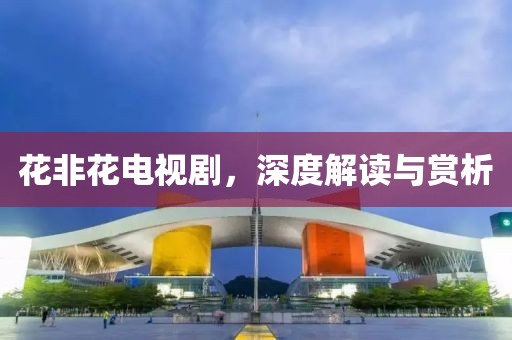 花非花电视剧，深度解读与赏析
