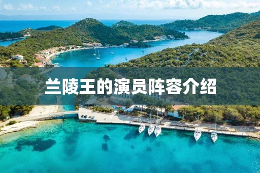 兰陵王的演员阵容介绍