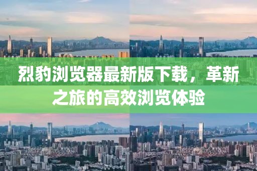 烈豹浏览器最新版下载，革新之旅的高效浏览体验