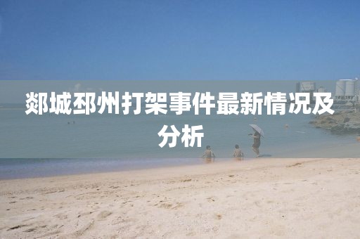 郯城邳州打架事件最新情况及分析