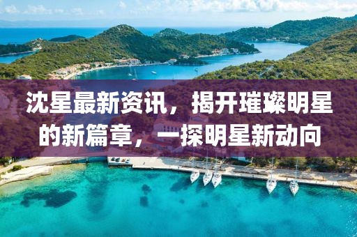 沈星最新资讯，揭开璀璨明星的新篇章，一探明星新动向
