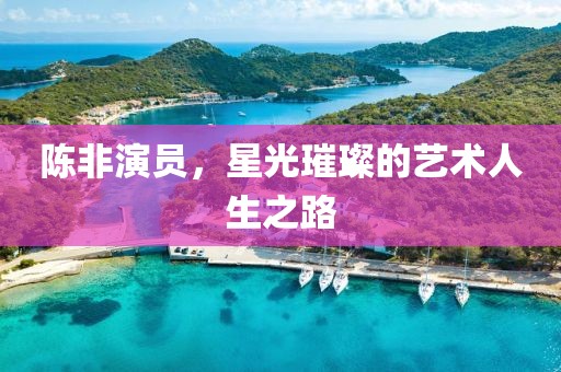 陈非演员，星光璀璨的艺术人生之路
