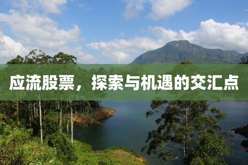 应流股票，探索与机遇的交汇点