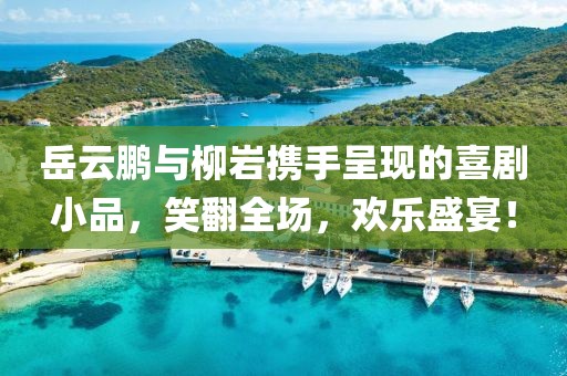 岳云鹏与柳岩携手呈现的喜剧小品，笑翻全场，欢乐盛宴！