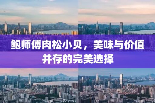 鲍师傅肉松小贝，美味与价值并存的完美选择