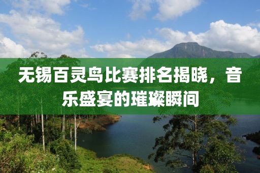 无锡百灵鸟比赛排名揭晓，音乐盛宴的璀璨瞬间