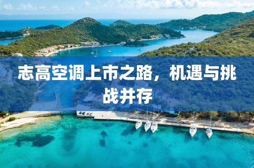 志高空调上市之路，机遇与挑战并存