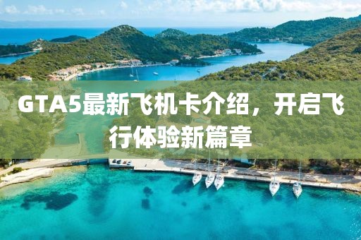 GTA5最新飞机卡介绍，开启飞行体验新篇章