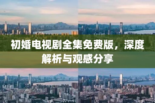 初婚电视剧全集免费版，深度解析与观感分享