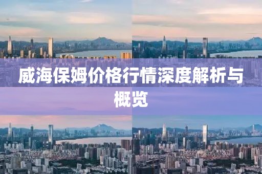 威海保姆价格行情深度解析与概览