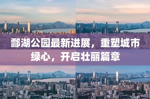 酃湖公园最新进展，重塑城市绿心，开启壮丽篇章