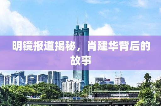 明镜报道揭秘，肖建华背后的故事