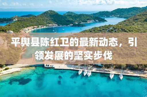 平舆县陈红卫的最新动态，引领发展的坚实步伐