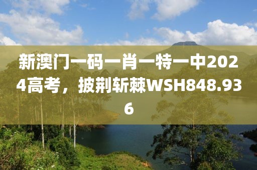 新澳门一码一肖一特一中2024高考，披荆斩棘WSH848.936