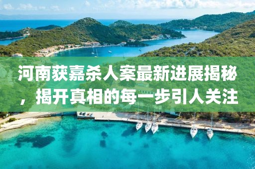河南获嘉杀人案最新进展揭秘，揭开真相的每一步引人关注