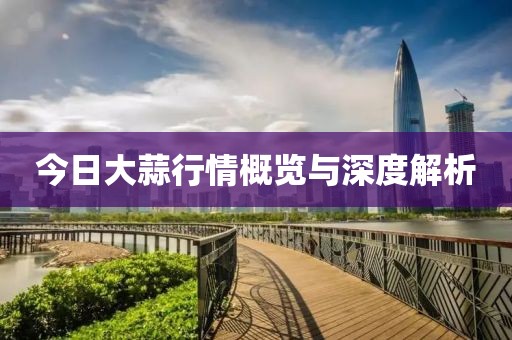 今日大蒜行情概览与深度解析