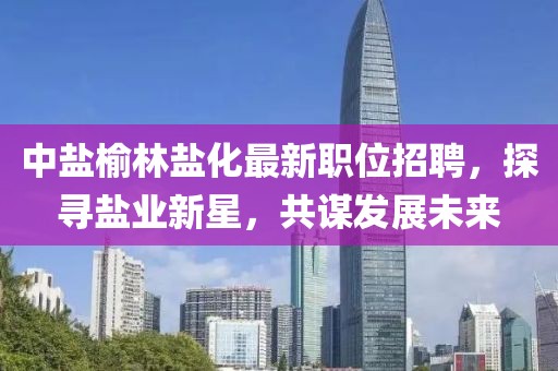 中盐榆林盐化最新职位招聘，探寻盐业新星，共谋发展未来