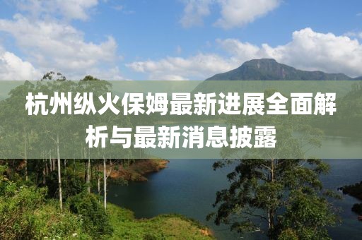 杭州纵火保姆最新进展全面解析与最新消息披露