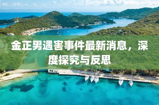 金正男遇害事件最新消息，深度探究与反思