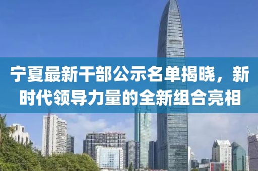 宁夏最新干部公示名单揭晓，新时代领导力量的全新组合亮相