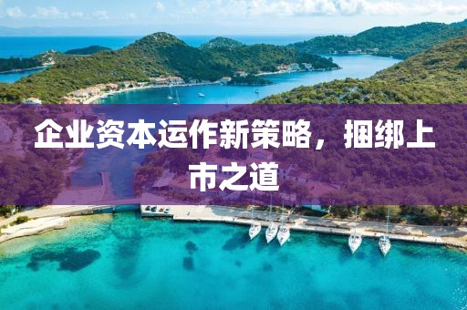 企业资本运作新策略，捆绑上市之道