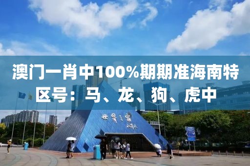 心只是缺了一块 第17页
