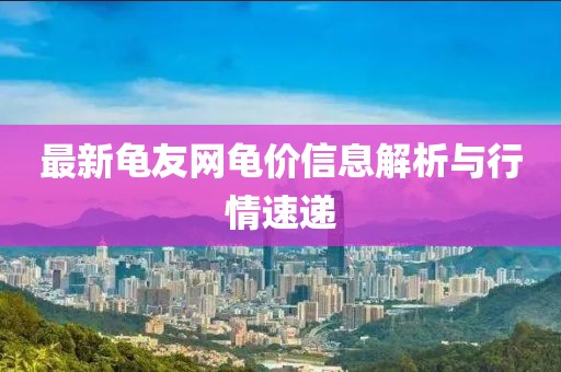 最新龟友网龟价信息解析与行情速递