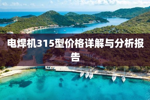 电焊机315型价格详解与分析报告