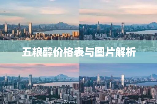 五粮醇价格表与图片解析