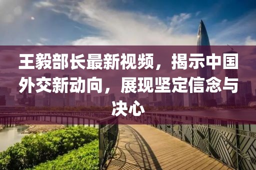 王毅部长最新视频，揭示中国外交新动向，展现坚定信念与决心