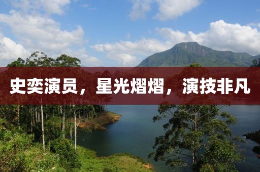 史奕演员，星光熠熠，演技非凡