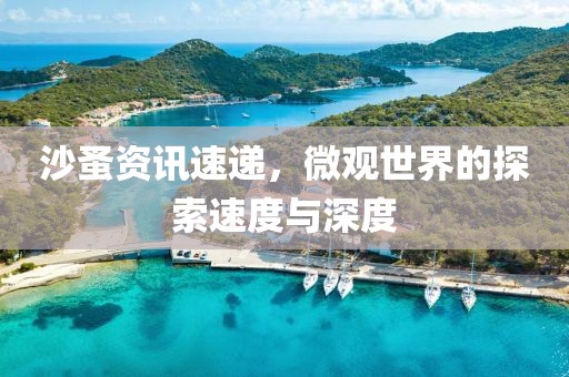 沙蚤资讯速递，微观世界的探索速度与深度