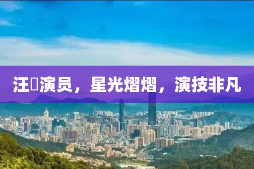 汪飏演员，星光熠熠，演技非凡