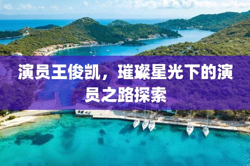 演员王俊凯，璀璨星光下的演员之路探索