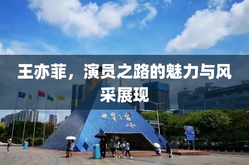 王亦菲，演员之路的魅力与风采展现