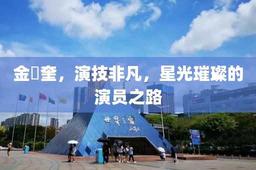 金旻奎，演技非凡，星光璀璨的演员之路