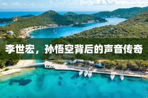 李世宏，孙悟空背后的声音传奇