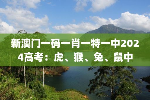 资质荣誉 第495页