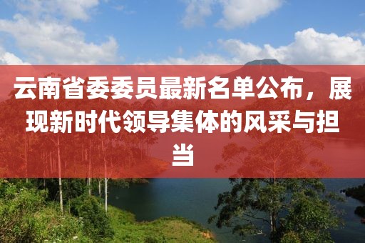 云南省委委员最新名单公布，展现新时代领导集体的风采与担当