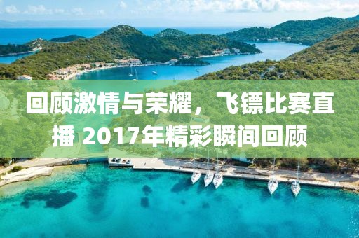 回顾激情与荣耀，飞镖比赛直播 2017年精彩瞬间回顾