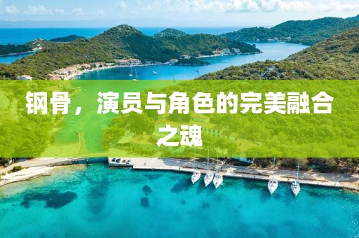 钢骨，演员与角色的完美融合之魂