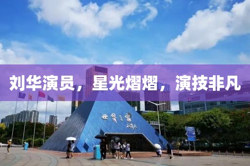 刘华演员，星光熠熠，演技非凡