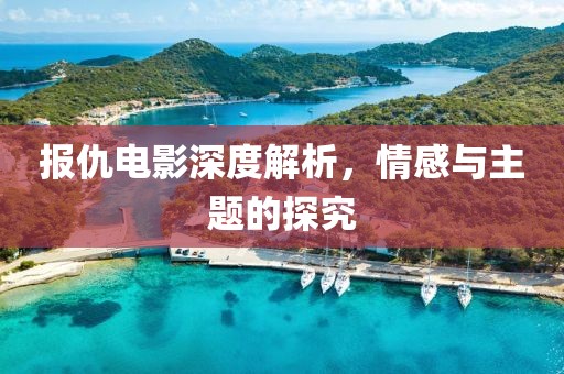 报仇电影深度解析，情感与主题的探究